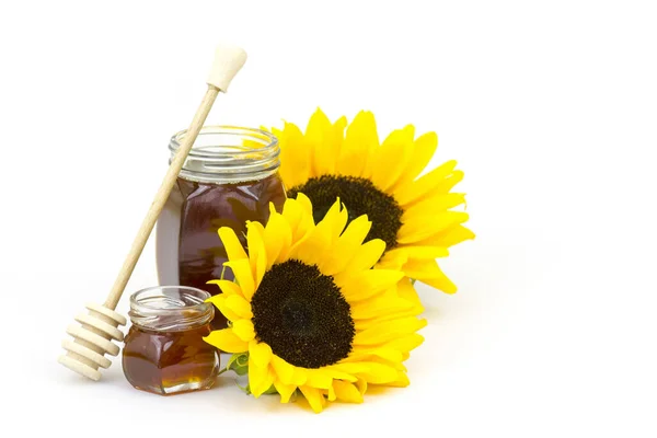 Honing Zonnebloemen Witte Achtergrond — Stockfoto