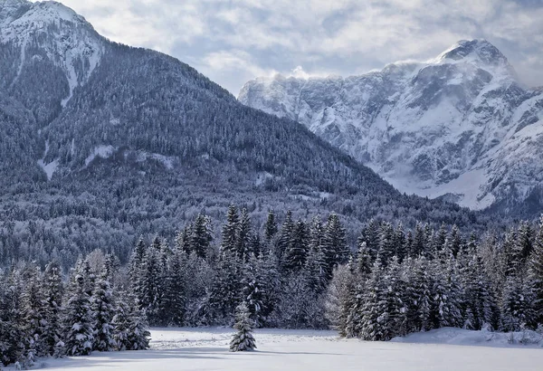 Зима Юлианских Альпах — стоковое фото