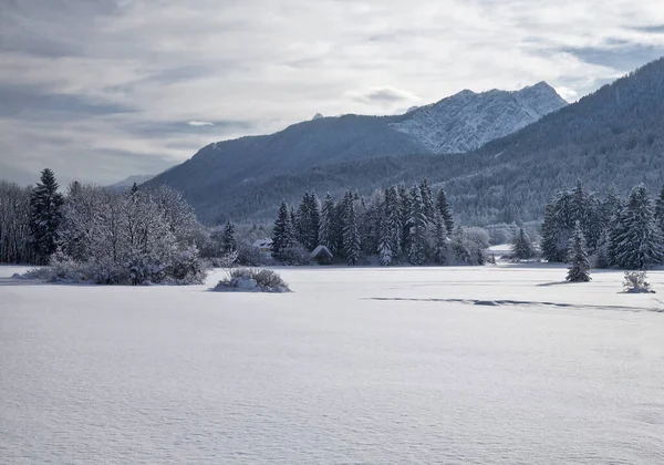 Inverno Nos Alpes Julianos — Fotografia de Stock