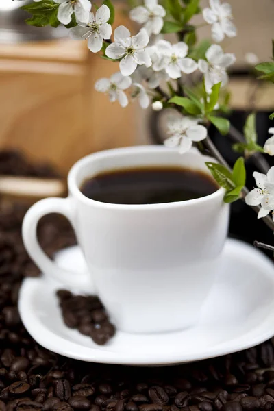 Kaffe Paus Bakgrunden Närbild — Stockfoto