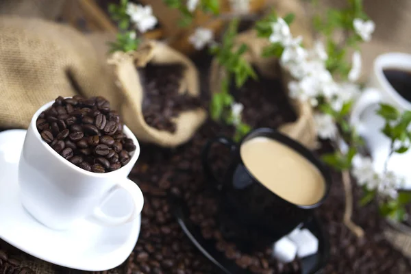 Grains Café Dans Une Tasse — Photo