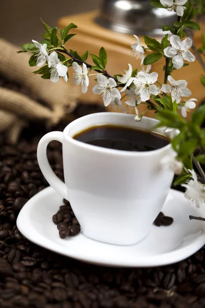 Köstlichen Frisch Zubereiteten Kaffee Nahsicht — Stockfoto