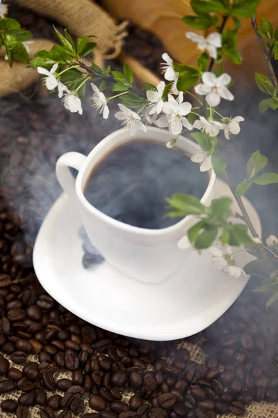 Kaffeetasse Und Bohnen — Stockfoto