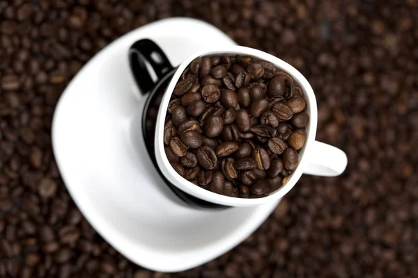 Caffè Tazza Fagioli — Foto Stock