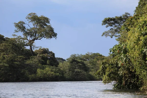 Vacker Utsikt Över Naturen — Stockfoto