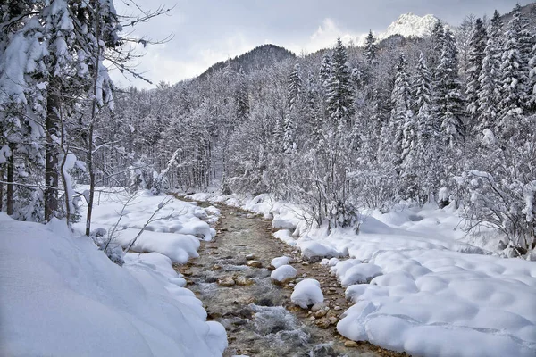 Triglav Kış Ulusal Park — Stok fotoğraf