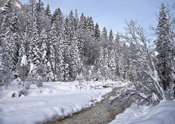Inverno Triglav Parque Nacional — Fotografia de Stock