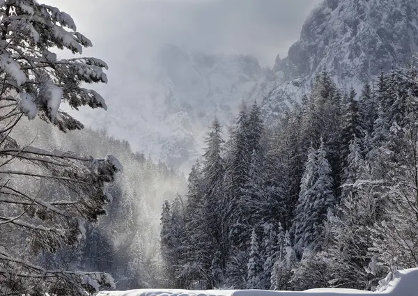 Inverno Triglav Parque Nacional — Fotografia de Stock