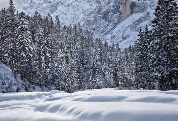 Winter Triglav Nationalpark — Stockfoto