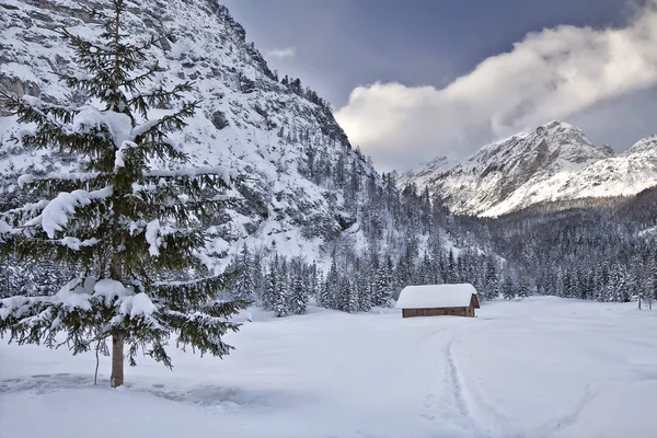 Vista Panorâmica Paisagem Majestosa Dos Alpes — Fotografia de Stock