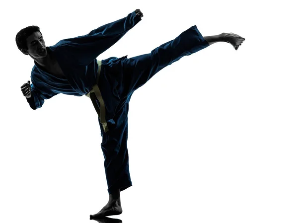 Joven Asiático Ejercitando Artes Marciales Karate Vietvodao Silueta Estudio Aislado — Foto de Stock