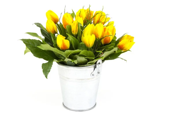 Tulipanes Amarillos Cubo Sobre Fondo Blanco —  Fotos de Stock