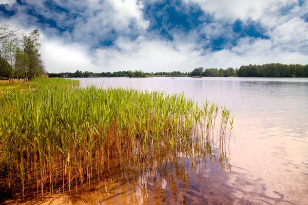 Aan Oevers Van Het Meer — Stockfoto