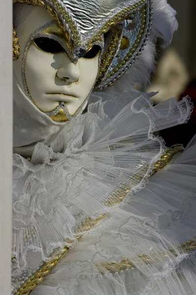 Carnaval Fantasias Máscara Festival — Fotografia de Stock