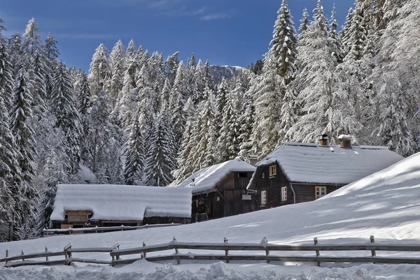 Winterlandschaft Mit Schneebedeckten Bäumen — Stockfoto