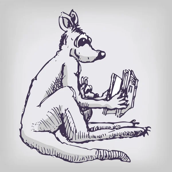 Rita Känguru Och Barnbok — Stockfoto
