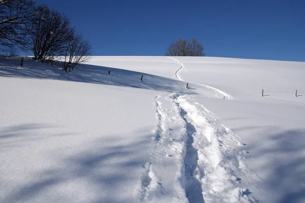 Snowshoe Caminhada Através Bela Paisagem Inverno — Fotografia de Stock