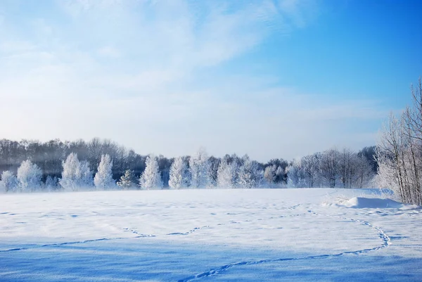 Vue Une Scène Hivernale — Photo