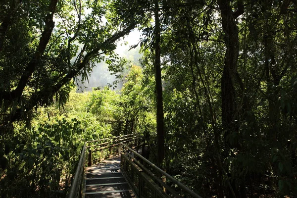 Iguazu Cai Cachoeira Natureza — Fotografia de Stock