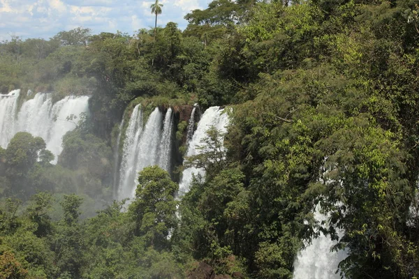 Cachoeira Fluxo Rios Natureza Meio Ambiente — Fotografia de Stock