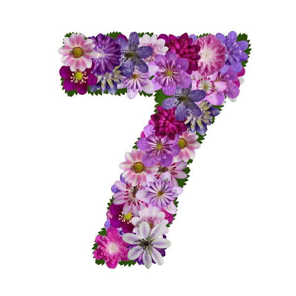 Αλφάβητο Λουλουδιών Αριθμός — Φωτογραφία Αρχείου