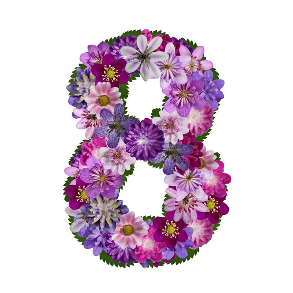 Alfabeto Flores Número — Fotografia de Stock