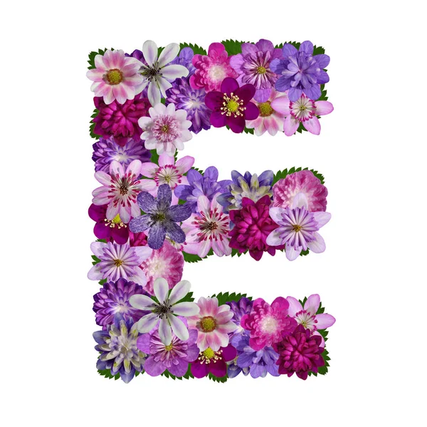 Bloemen Alfabet Letter — Stockfoto