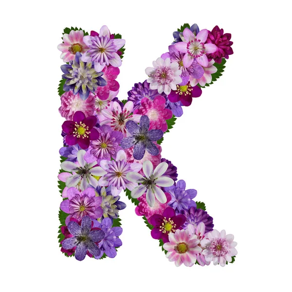 Blommor Alfabet Bokstav — Stockfoto