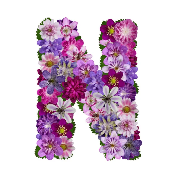 Alfabeto Flores Letra — Fotografia de Stock
