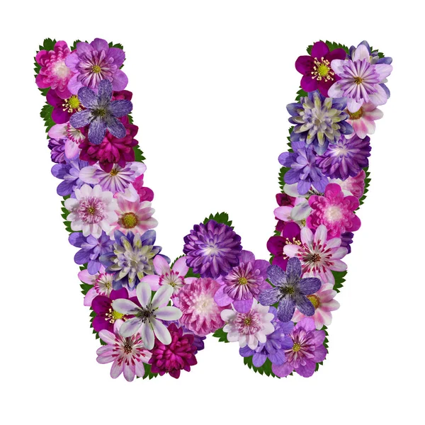 Çiçekler Alfabe Harf — Stok fotoğraf