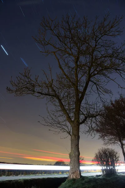 Albero Accanto Una Strada Notte — Foto Stock