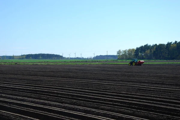 Groenten Voedingsconcept Aardappelen — Stockfoto