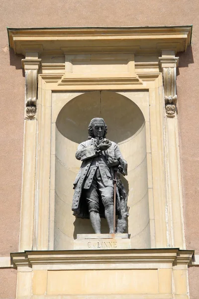 Carl Linnaeus Stockholm Palace — Stock Photo, Image