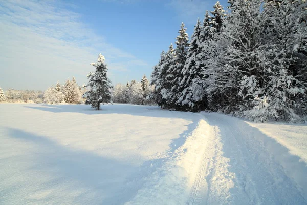 Fond Coloré Pour Noël Nouvelle Carte Vacances Année — Photo