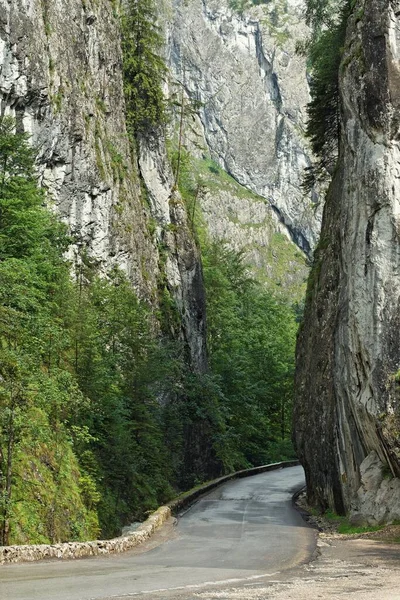 Spettacolare Passaggio Montagna Transilvania — Foto Stock