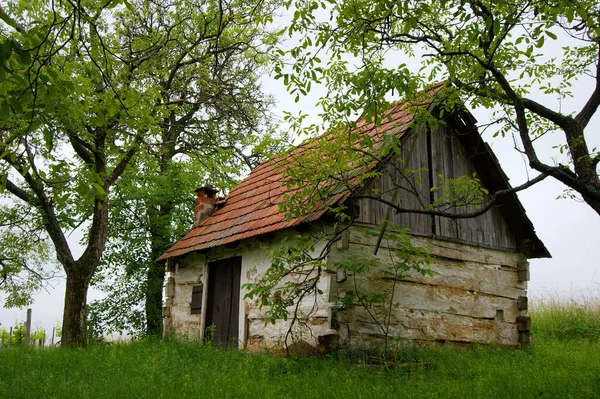 Small Old Hut Forest — Stock Photo, Image