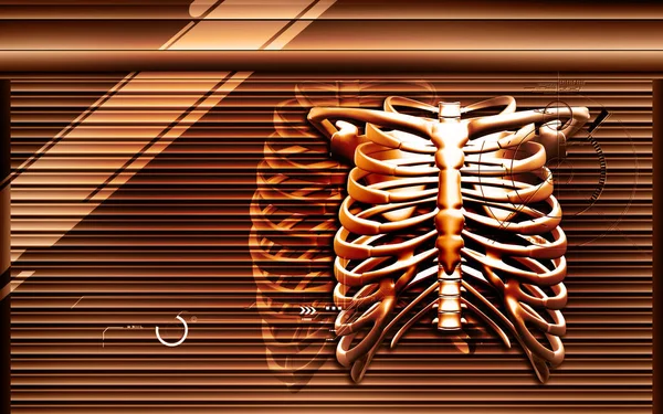 Digital Illustration Rib Cage Colour Background — Stockfoto