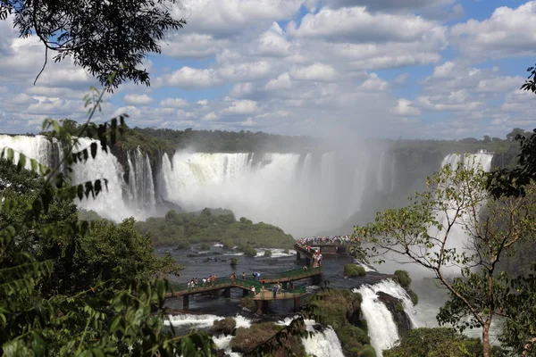 Iguazu Watervallen Natuur Waterval — Stockfoto