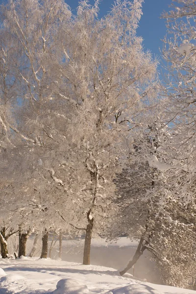 Magia Inverno Belas Montanhas — Fotografia de Stock