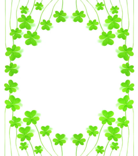 Green Clover Holiday Frame Collage Patrick Day Decoration Isolated White — стоковое фото