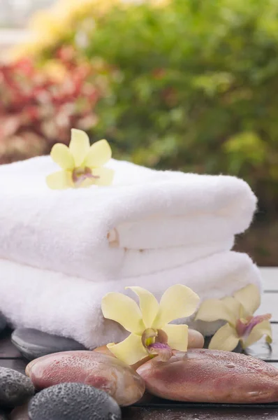 Concepto Spa Con Orquídeas Piedras Río Aire Libre — Foto de Stock