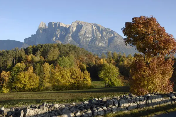 Otoño Podrida Con Schlern Tirol Del Sur — Foto de Stock