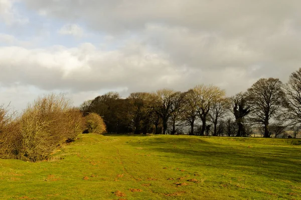 在阳光明媚的日子里 英国乡村的冬季风景 — 图库照片