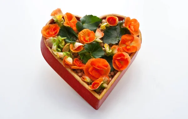 Lot Flowers Heart — Stock Photo, Image