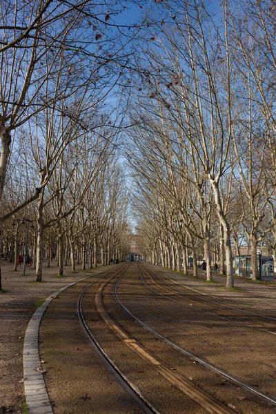 Park Bordeaux Gironde Akwitania Francja — Zdjęcie stockowe