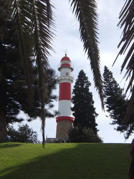 Lighthouse Palm Trees — Stock Photo, Image