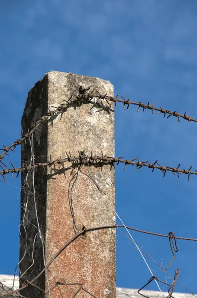 Venkovský Život Selektivní Zaměření — Stock fotografie