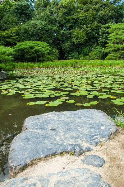 Zen Garden Med Lotusblad Och Damm Kyoto Japan — Stockfoto