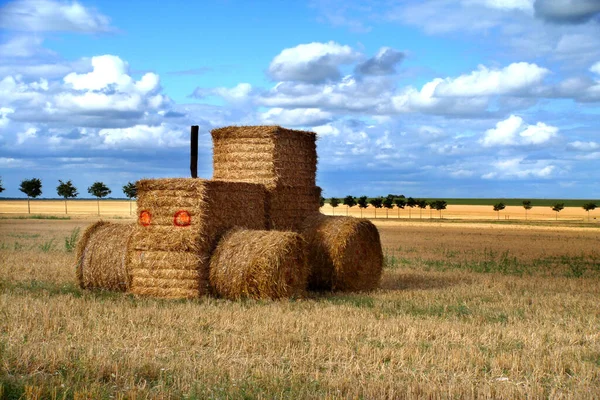 Country Life Selective Focus — Stock Photo, Image