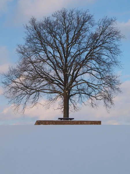 Όμορφη Θέα Του Χειμερινού Τοπίου — Φωτογραφία Αρχείου